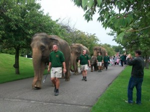 zsl-whipsnade-zoo (1)